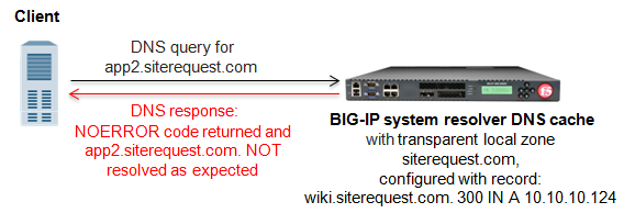 Failed DNS query resolution from transparent local zone