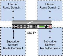 Multiple subscriber networks connecting to Internet servers in separate Internet route domains