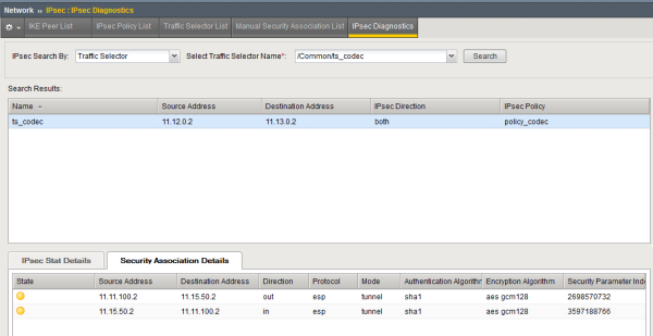 Example of IPsec Security Association Details tab diagnostics