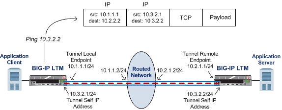 Illustration of a point-to-point IP tunnel configuration