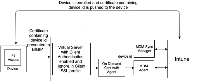 Connection diagram - client certificate set to ignore