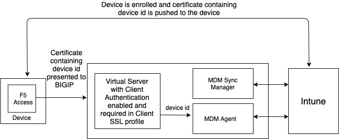 Connection diagram - client certificate set to require
