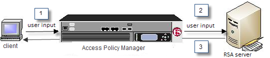 How Access Policy Manager works with RSA SecurID