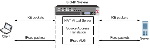 An example configuration of IPsec ALG with manual keys for AFM firewall with NAT