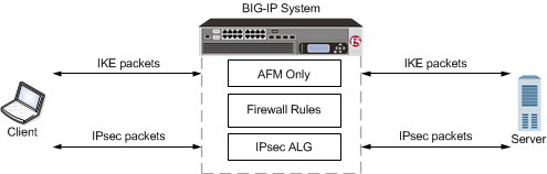 An example configuration of IPsec ALG with IKE for AFM