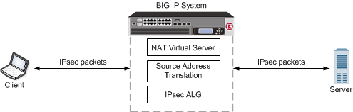 An example configuration of IPsec ALG with manual keys with NAT