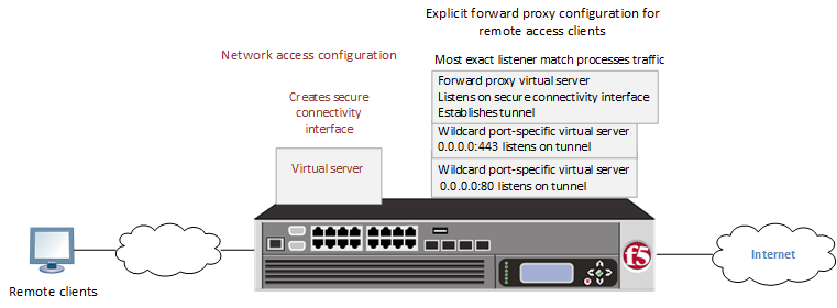 Explicit forward proxy for Network Access