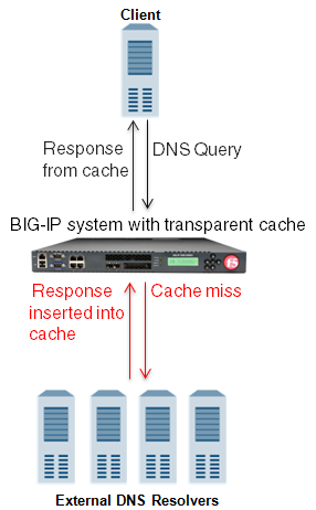 BIG-IP system using transparent cache
