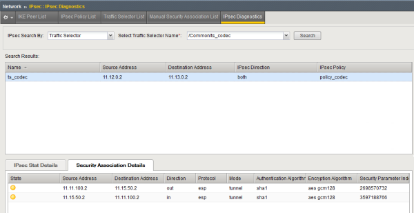 Example of IPsec SA Details tab diagnostics