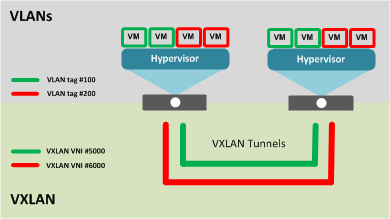 Multiple VXLAN tunnels