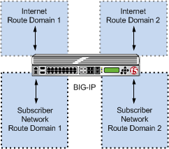 Multiple subscriber networks connecting to Internet servers in separate Internet route     domains