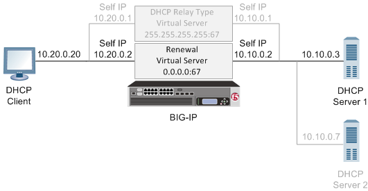 sample DHCP renewal system configuration