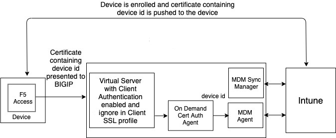 Screenshot client certificate set to ignore