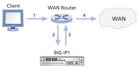 Network topology for a one-arm connection