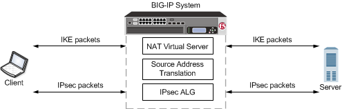 An example configuration of IPsec ALG with IKE for source address translation
