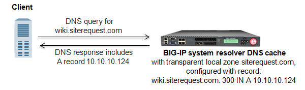 Successful DNS query resolution from transparent local zone