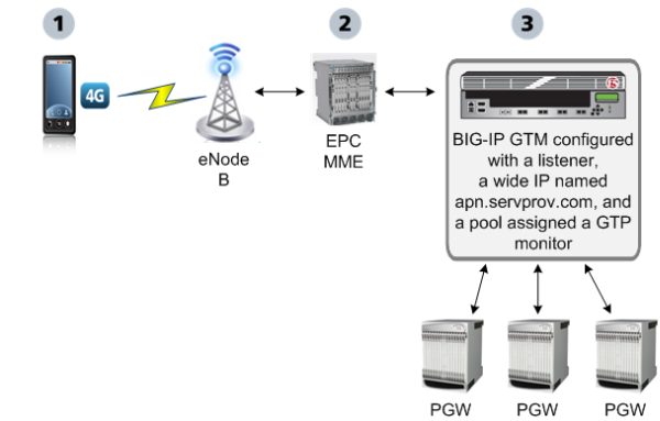 GTM monitoring packet gateways