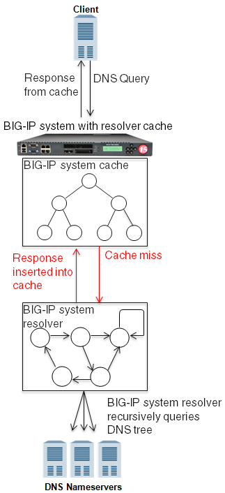 BIG-IP system using resolver cache