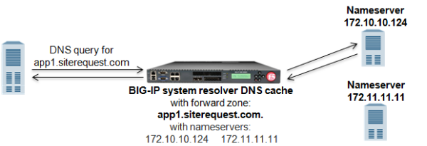 Successful DNS query resolution from forward zone