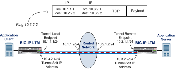 Illustration of a point-to-point IP tunnel