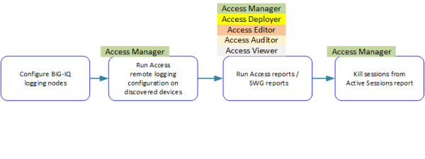 Only Access Manager user role      can kill sessions and run remote logging configuration; any Access user role can run reports