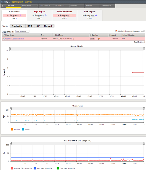 Sample DDoS overview report